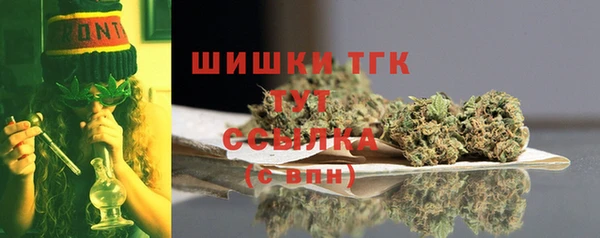 индика Абаза