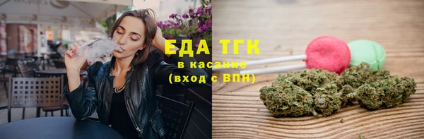 индика Абаза