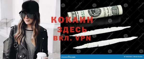 прущие грибы Алексеевка