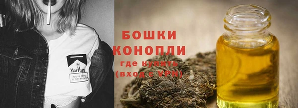 PSILOCYBIN Алзамай