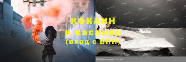 индика Абаза