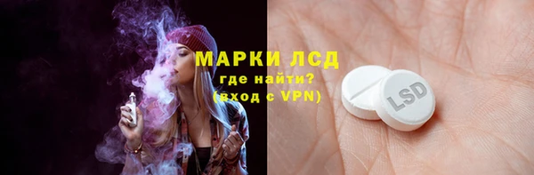 прущие грибы Алексеевка