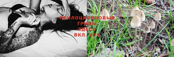 PSILOCYBIN Алзамай