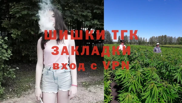 PSILOCYBIN Алзамай