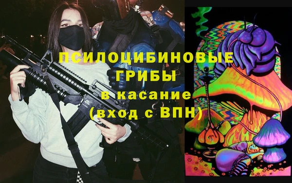PSILOCYBIN Алзамай